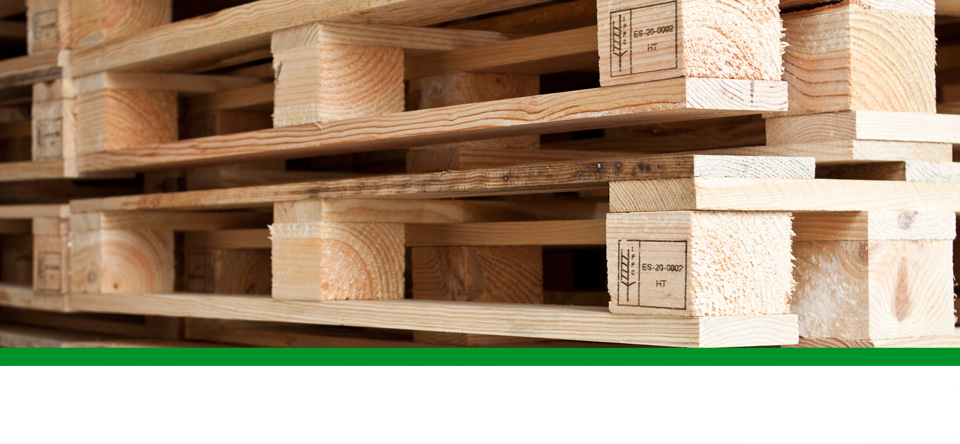 embalaje con tratamiento fitosanitario en gipuzkoa